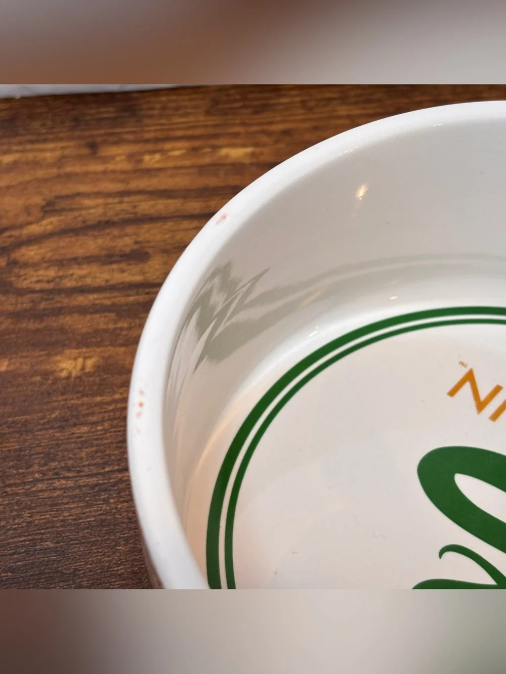 Harry Potter Slytherin Bowl Ceramic Pet Bowl for Dogs & Cats